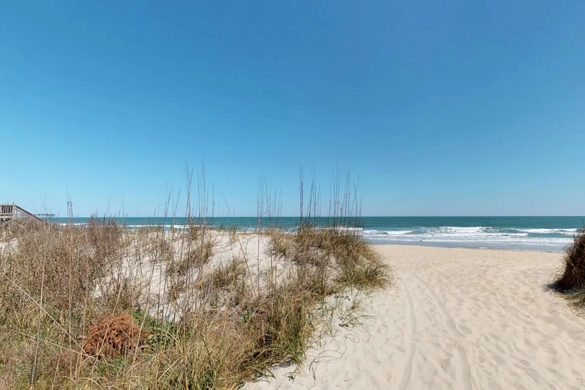 A serene expanse of sandy beach with gentle ocean waves rolling in, bordered by natural dune grass and a clear blue sky overhead. The scene is open, inviting, and perfect for long walks, with plenty of space for both people and pets to enjoy the seaside together.